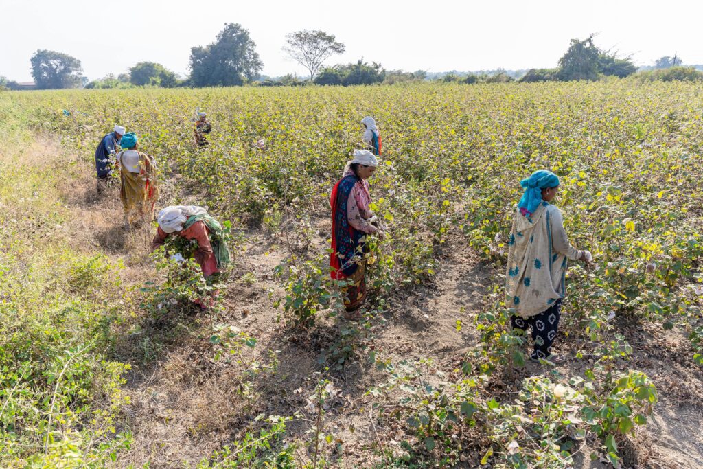 Apply for fertilizer dealership online
